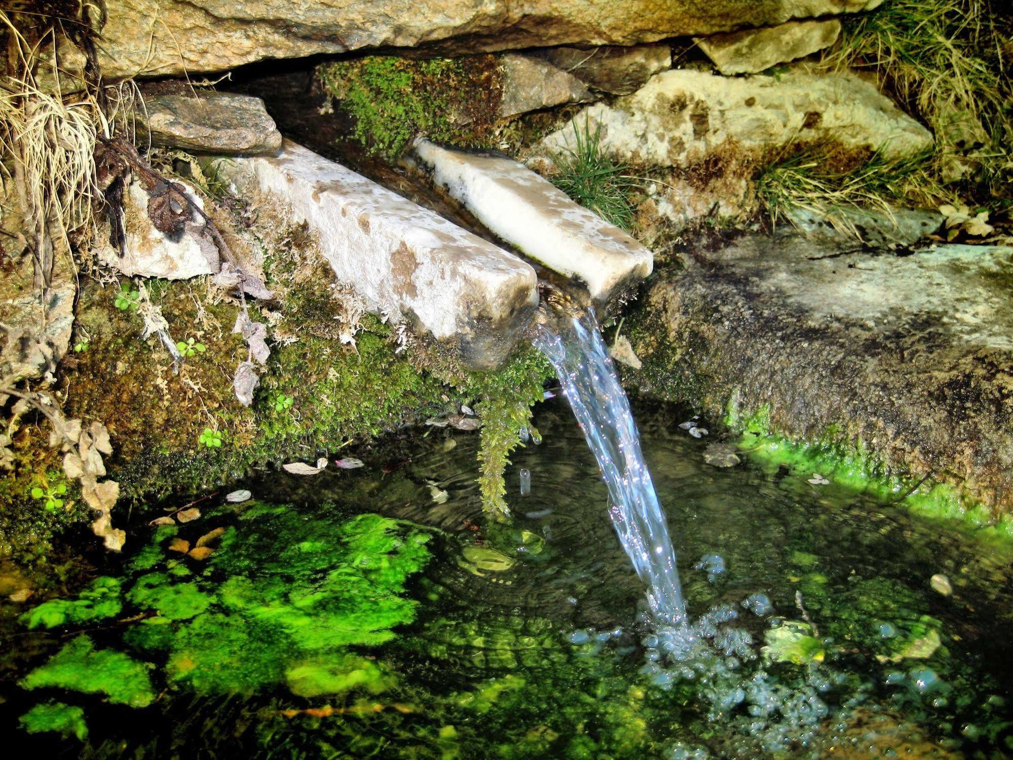 Reul Alto Cortijos Rurales Guest House Laroya Bagian luar foto